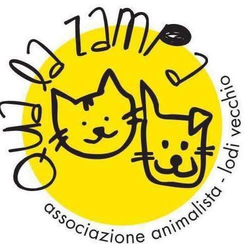Animali accuditi al rifugio